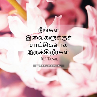 Picture 07 - லூக்கா 24:48 TAMIRV - நீங்கள் - Bible Verse Picture