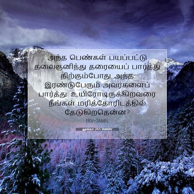 Picture 07 - லூக்கா 24:5 TAMIRV - அந்த பெண்கள் - Bible Verse Picture