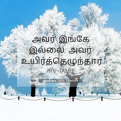 Picture 07 - லூக்கா 24:6 TAMIRV - அவர் இங்கே இல்லை, - Bible Verse Picture