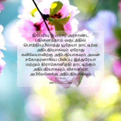 Picture 07 - லூக்கா 3:1 TAMIRV - திபேரியு பேரரசர் - Bible Verse Picture