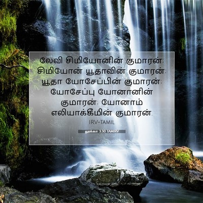 Picture 07 - லூக்கா 3:30 TAMIRV - லேவி சிமியோனின் - Bible Verse Picture