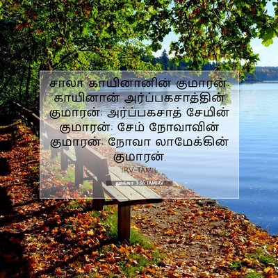 Picture 07 - லூக்கா 3:36 TAMIRV - சாலா காயினானின் - Bible Verse Picture