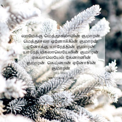 Picture 07 - லூக்கா 3:37 TAMIRV - லாமேக்கு - Bible Verse Picture