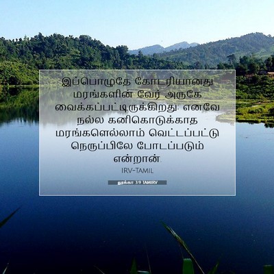 Picture 07 - லூக்கா 3:9 TAMIRV - இப்பொழுதே - Bible Verse Picture