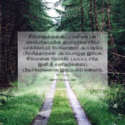 Picture 07 - லூக்கா 5:10 TAMIRV - சீமோனுக்குக் - Bible Verse Picture