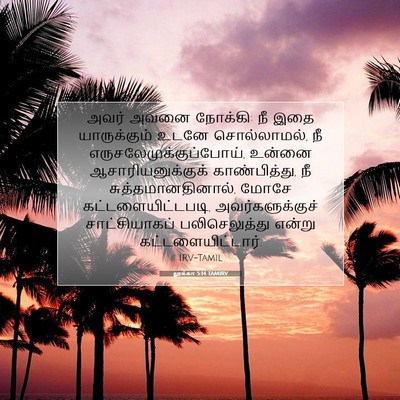 Picture 07 - லூக்கா 5:14 TAMIRV - அவர் அவனை நோக்கி: - Bible Verse Picture
