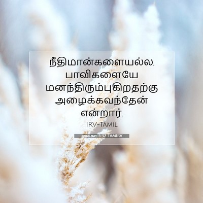 Picture 07 - லூக்கா 5:32 TAMIRV - நீதிமான்களையல்ல, - Bible Verse Picture