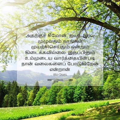 Picture 07 - லூக்கா 5:5 TAMIRV - அதற்குச் சீமோன்: - Bible Verse Picture