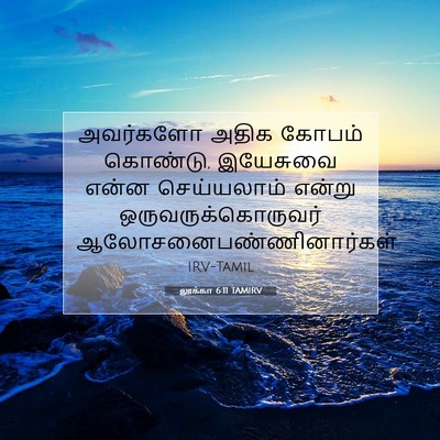 Picture 07 - லூக்கா 6:11 TAMIRV - அவர்களோ அதிக - Bible Verse Picture