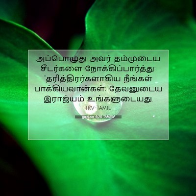 Picture 07 - லூக்கா 6:20 TAMIRV - அப்பொழுது அவர் - Bible Verse Picture