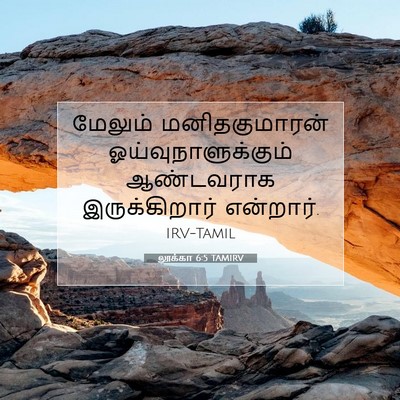 Picture 07 - லூக்கா 6:5 TAMIRV - மேலும் - Bible Verse Picture