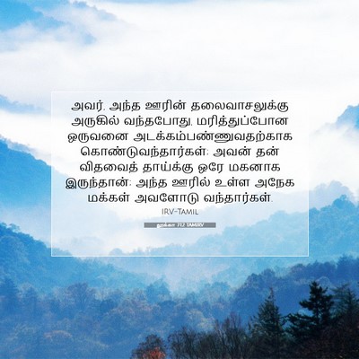 Picture 07 - லூக்கா 7:12 TAMIRV - அவர், அந்த ஊரின் - Bible Verse Picture