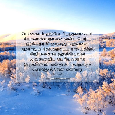 Picture 07 - லூக்கா 7:28 TAMIRV - பெண்களிடத்திலே - Bible Verse Picture