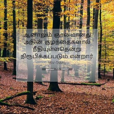 Picture 07 - லூக்கா 7:35 TAMIRV - ஆனாலும் ஞானமானது - Bible Verse Picture