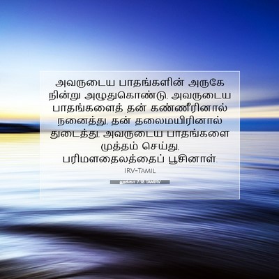Picture 07 - லூக்கா 7:38 TAMIRV - அவருடைய - Bible Verse Picture
