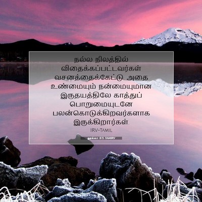 Picture 07 - லூக்கா 8:15 TAMIRV - நல்ல நிலத்தில் - Bible Verse Picture