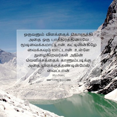 Picture 07 - லூக்கா 8:16 TAMIRV - ஒருவனும் - Bible Verse Picture