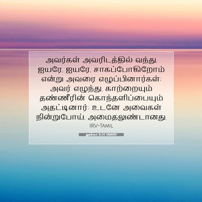 Picture 07 - லூக்கா 8:24 TAMIRV - அவர்கள் - Bible Verse Picture