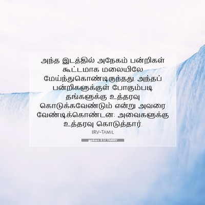 Picture 07 - லூக்கா 8:32 TAMIRV - அந்த இடத்தில் - Bible Verse Picture