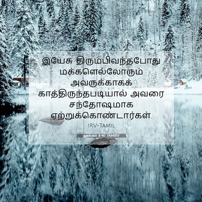Picture 07 - லூக்கா 8:40 TAMIRV - இயேசு - Bible Verse Picture