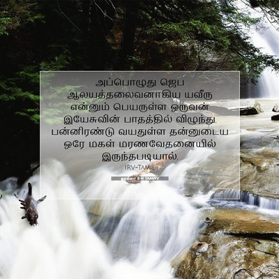 Picture 07 - லூக்கா 8:41 TAMIRV - அப்பொழுது ஜெப - Bible Verse Picture