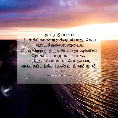 Picture 07 - லூக்கா 8:49 TAMIRV - அவர் இப்படிப் - Bible Verse Picture
