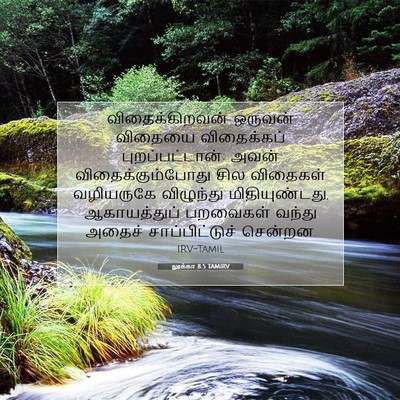 Picture 07 - லூக்கா 8:5 TAMIRV - விதைக்கிறவன் - Bible Verse Picture
