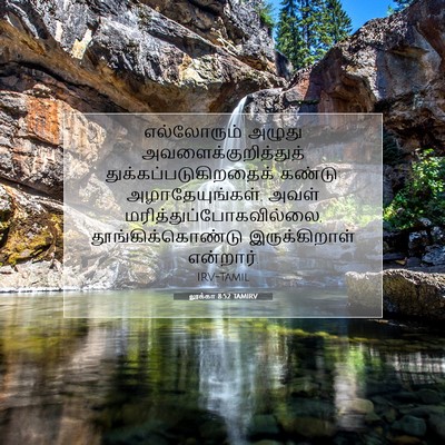 Picture 07 - லூக்கா 8:52 TAMIRV - எல்லோரும் அழுது - Bible Verse Picture