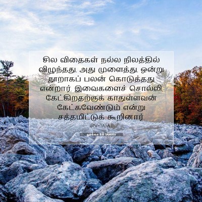 Picture 07 - லூக்கா 8:8 TAMIRV - சில விதைகள் நல்ல - Bible Verse Picture