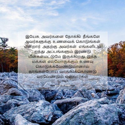 Picture 07 - லூக்கா 9:13 TAMIRV - இயேசு, அவர்களை - Bible Verse Picture