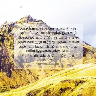 Picture 07 - லூக்கா 9:16 TAMIRV - அப்பொழுது அவர் - Bible Verse Picture