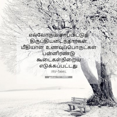 Picture 07 - லூக்கா 9:17 TAMIRV - எல்லோரும் - Bible Verse Picture