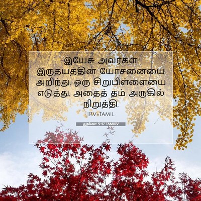 Picture 07 - லூக்கா 9:47 TAMIRV - இயேசு அவர்கள் - Bible Verse Picture