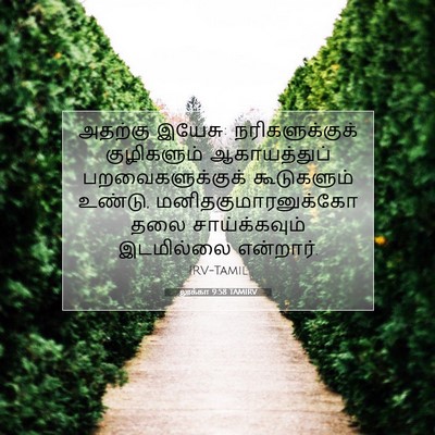 Picture 07 - லூக்கா 9:58 TAMIRV - அதற்கு இயேசு: - Bible Verse Picture