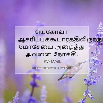 Picture 07 - லேவியராகமம் 1:1 TAMIRV - யெகோவா - Bible Verse Picture