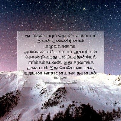 Picture 07 - லேவியராகமம் 1:13 TAMIRV - குடல்களையும் - Bible Verse Picture