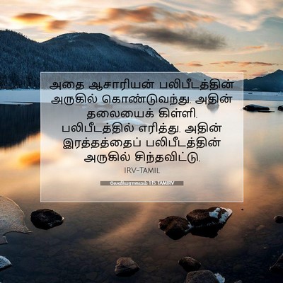 Picture 07 - லேவியராகமம் 1:15 TAMIRV - அதை ஆசாரியன் - Bible Verse Picture
