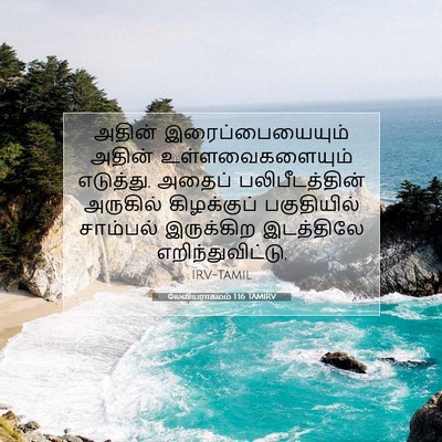 Picture 07 - லேவியராகமம் 1:16 TAMIRV - அதின் - Bible Verse Picture