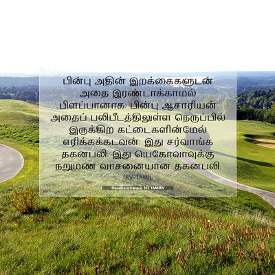 Picture 07 - லேவியராகமம் 1:17 TAMIRV - பின்பு அதின் - Bible Verse Picture