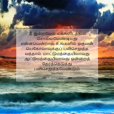 Picture 07 - லேவியராகமம் 1:2 TAMIRV - “நீ இஸ்ரவேல் - Bible Verse Picture