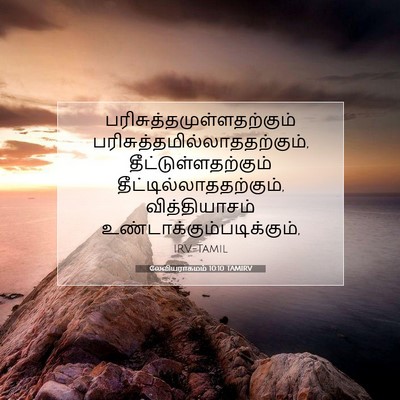 Picture 07 - லேவியராகமம் 10:10 TAMIRV -  - Bible Verse Picture
