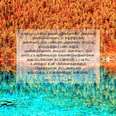 Picture 07 - லேவியராகமம் 10:15 TAMIRV - கொழுப்பாகிய - Bible Verse Picture