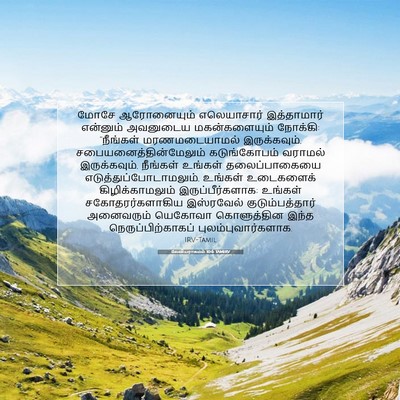 Picture 07 - லேவியராகமம் 10:6 TAMIRV - மோசே ஆரோனையும் - Bible Verse Picture