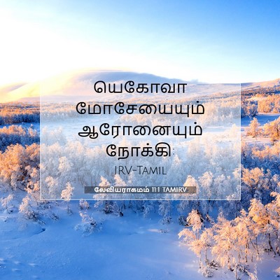 Picture 07 - லேவியராகமம் 11:1 TAMIRV - யெகோவா மோசேயையும் - Bible Verse Picture