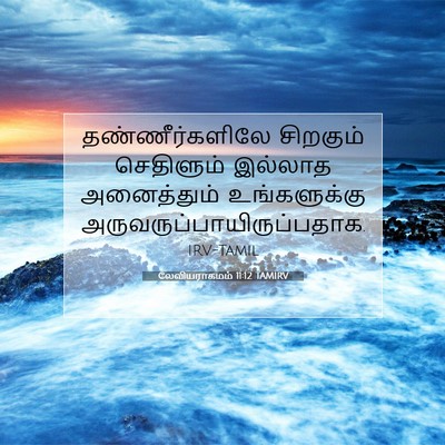 Picture 07 - லேவியராகமம் 11:12 TAMIRV - தண்ணீர்களிலே - Bible Verse Picture