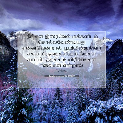Picture 07 - லேவியராகமம் 11:2 TAMIRV - “நீங்கள் இஸ்ரவேல் - Bible Verse Picture