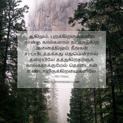 Picture 07 - லேவியராகமம் 11:21 TAMIRV - ஆகிலும், - Bible Verse Picture