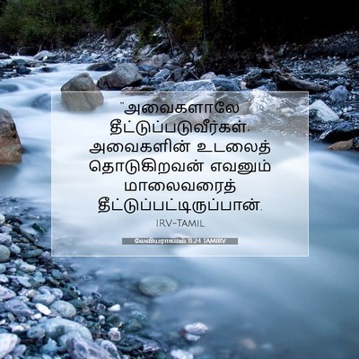 Picture 07 - லேவியராகமம் 11:24 TAMIRV - “அவைகளாலே - Bible Verse Picture