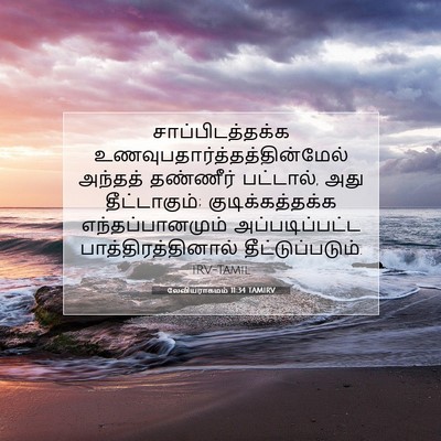 Picture 07 - லேவியராகமம் 11:34 TAMIRV - சாப்பிடத்தக்க - Bible Verse Picture