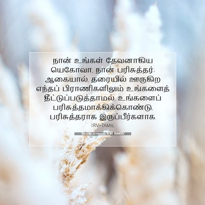 Picture 07 - லேவியராகமம் 11:44 TAMIRV - நான் உங்கள் - Bible Verse Picture